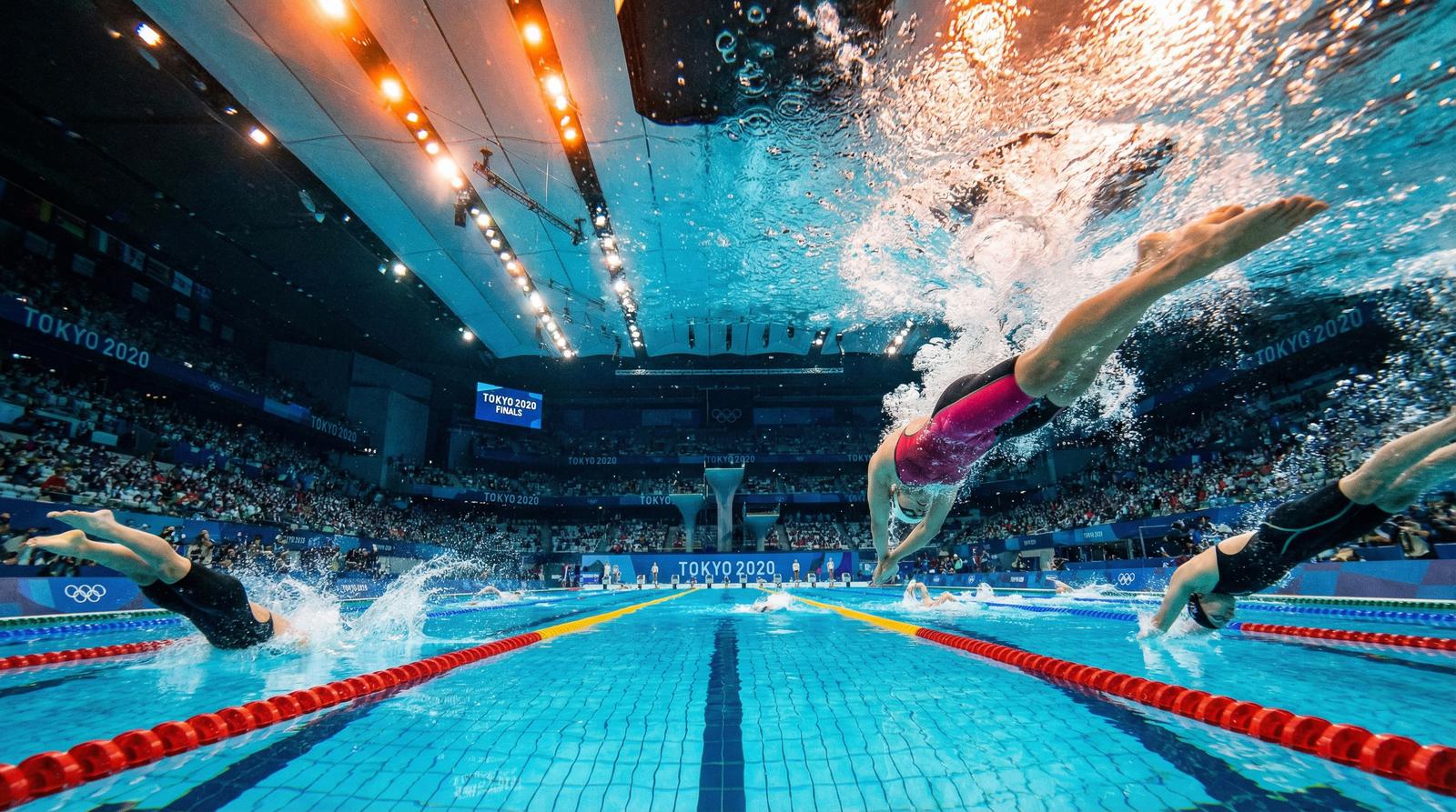 免费看片游泳赛事视频